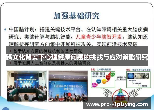 跨文化背景下心理健康问题的挑战与应对策略研究 跨文化背景下心理健康问题的挑战与应对策略研究